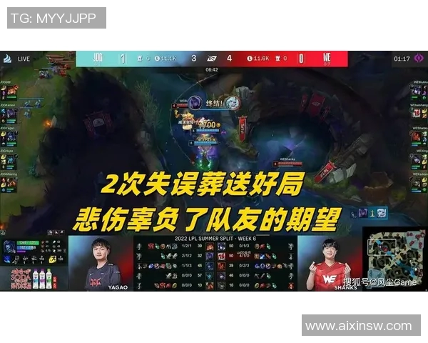 赛后分析：JDG与WE团队协作的成功与不足之处探讨